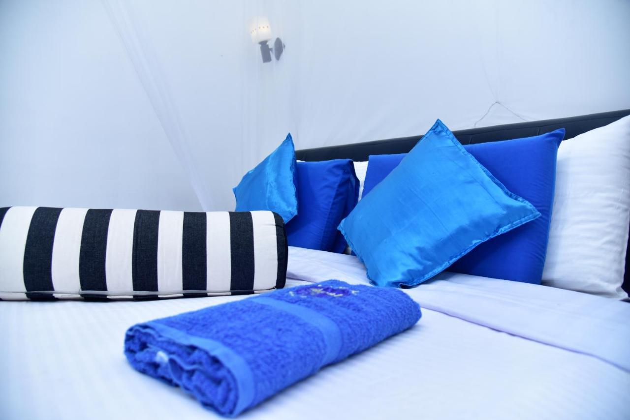 Ella Nimal Nest Inn Ngoại thất bức ảnh