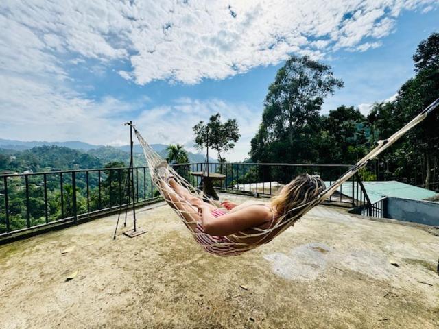 Ella Nimal Nest Inn Ngoại thất bức ảnh