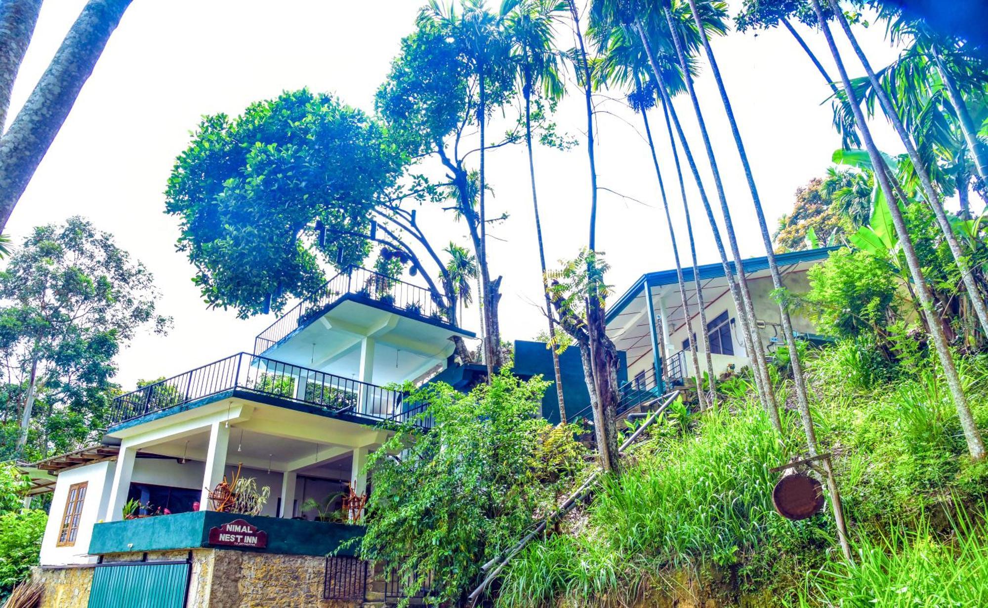 Ella Nimal Nest Inn Ngoại thất bức ảnh